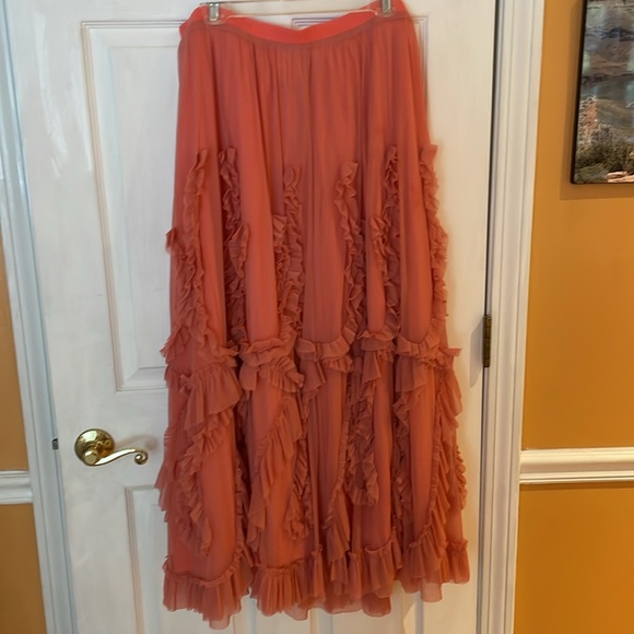 Beautiful Anthropologie skirt - Picture 4 of 7